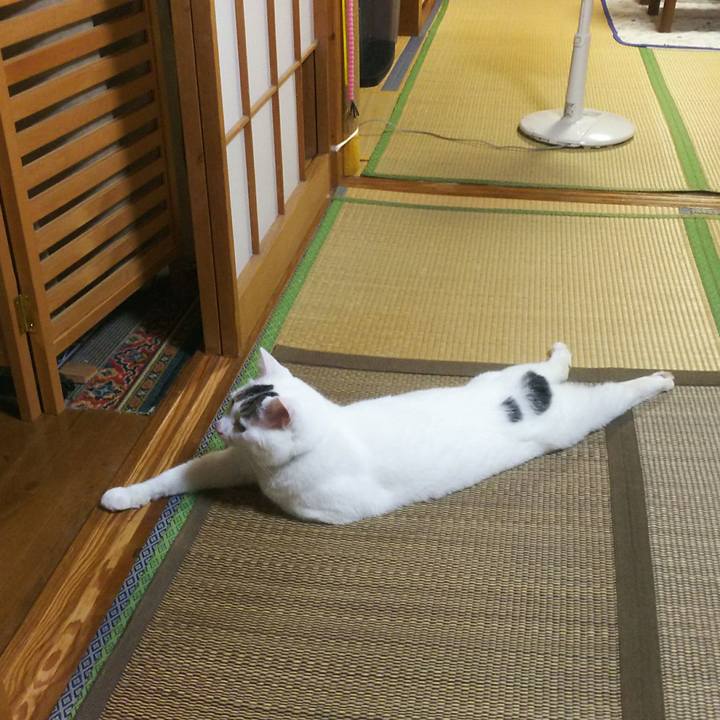 A6e6149e a567 4d78 a0e9 0732282ff99b 1535633179357