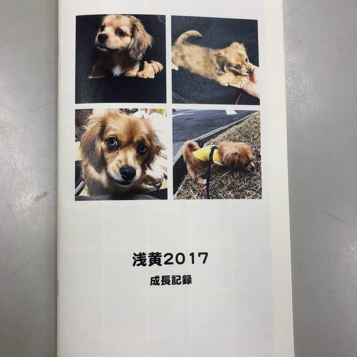 A6e632e9 2e9f 49b9 b1d1 c170208a22af 1533806477675