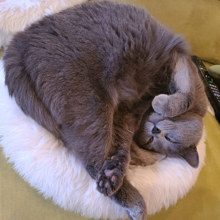 A6e64288 cfca 4dc2 b0c5 a07d03be6d51 1641453880557