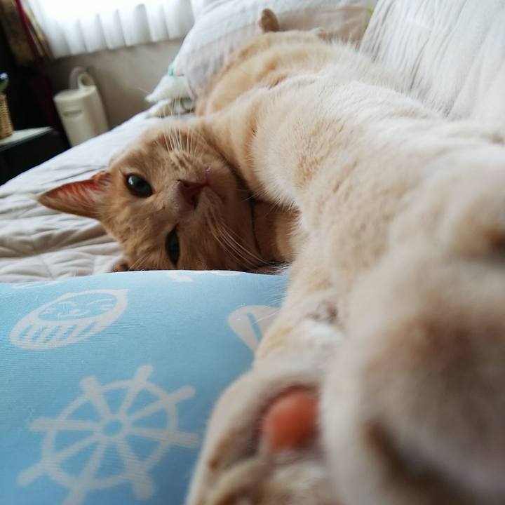 A6e6569a fae3 49eb a561 c12004b39579 1597960247713