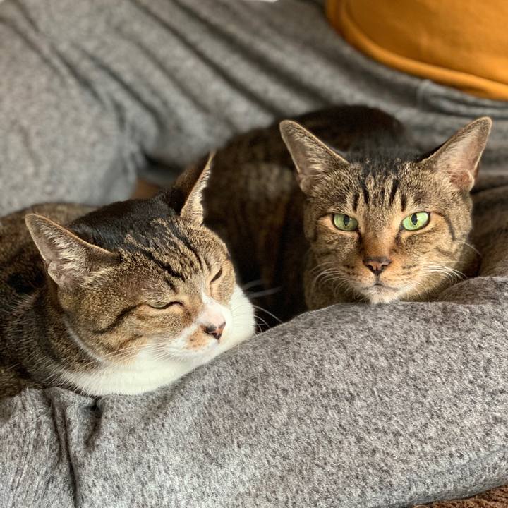 A6e67ca0 d7b6 4f93 8844 752a98d77c4e 1574126201329