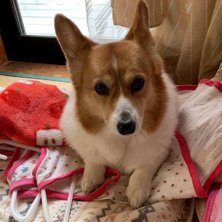 A6e6b077 cd74 47a1 95fb 82f02f747f4a 1615285826289