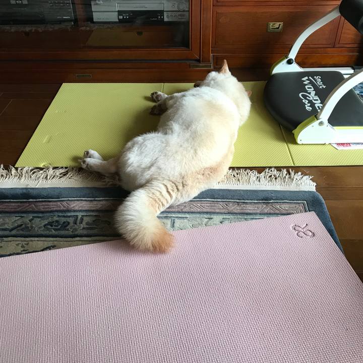 A6e6b0d2 8b75 4511 82fc 2f9b533d2979 1634222996250