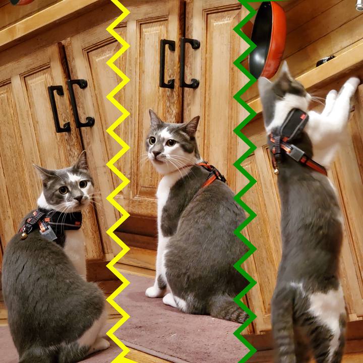 A6e6c4a8 33dc 49ec 82b7 02f58ae917d4 1714697274608