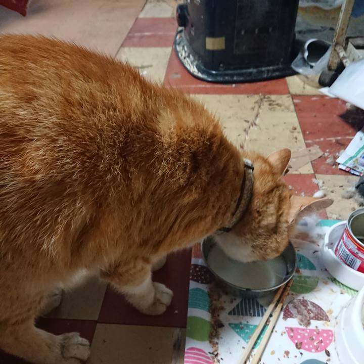 A6e71c2c e950 497f 93c2 29a5be1fbe34 1590702216052