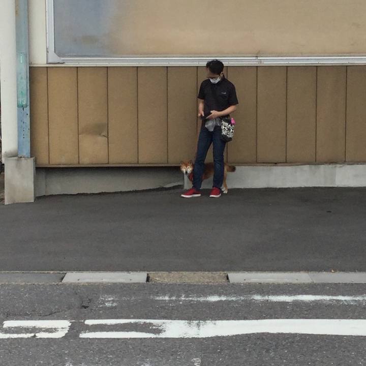 A6e738e1 3b76 4cba b50f 1644d17d8949 1633833385532