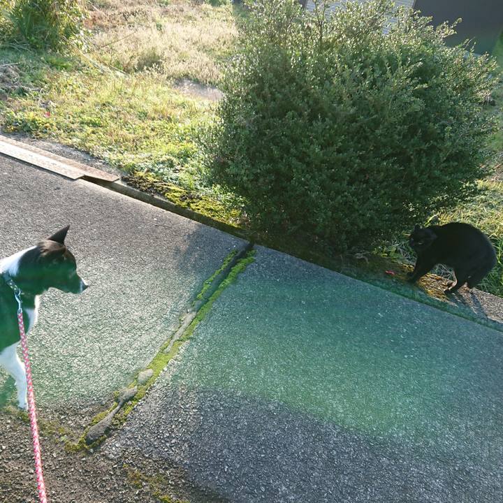 A6e7e3ba 940c 43d5 890d a22e8e331206 1574852310092