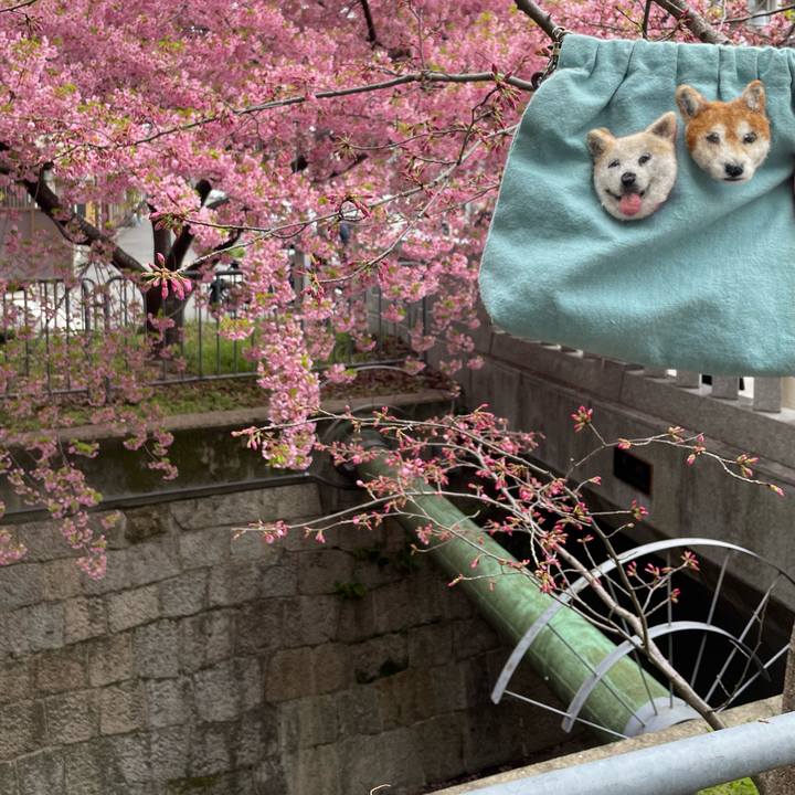 A6e7e8c6 ff58 434c b521 0316cec9c9dd 1647948297051