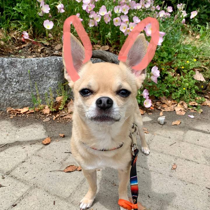 A6e7f69a fdca 4139 99e7 ec8dcd111964 1588858090954