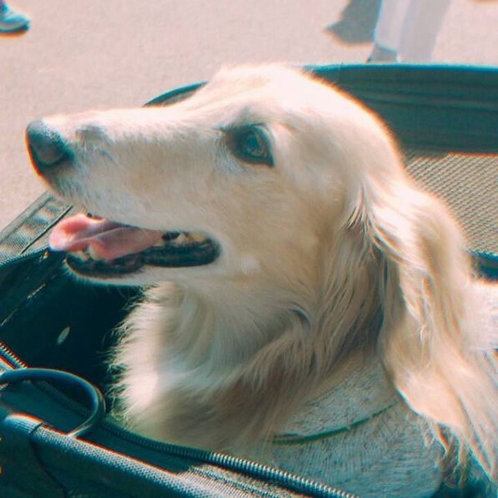 A6e82a4a 8d62 40db 8910 63c52d8296f5 1546785679669