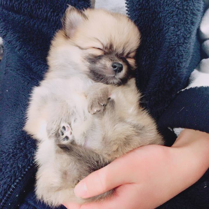 A6e84a23 5aa1 4f6c af58 d218b7d8b0ed 1519994998815