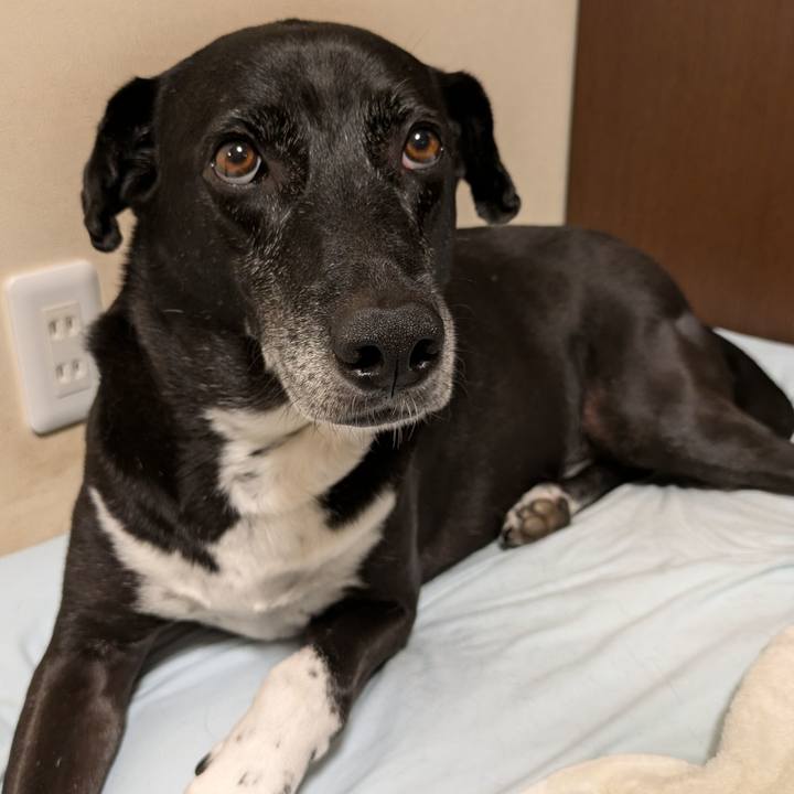 A6e84bcd b9e9 43e9 ae30 abee28aa93d8 1724929248040