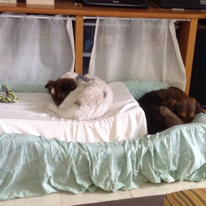 A6e8708e 1438 4a10 91d3 7e6f6b3505ff 1514470272234