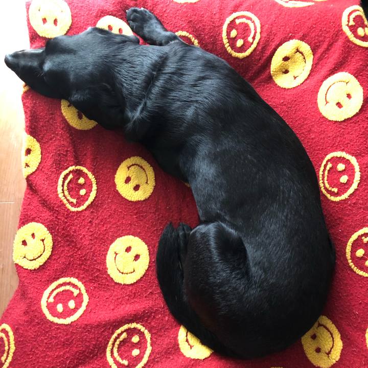 A6e88ef5 1979 4710 8c8b c04e13871457 1577855982252