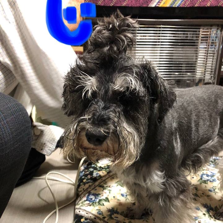 A6e89336 72ec 4f5f 9266 f38db4142647 1619860998518