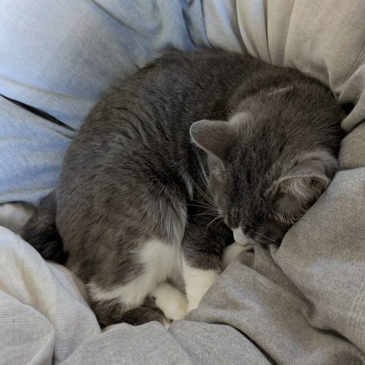 A6e89c32 1f78 40f1 b730 8a060ba1dee2 1731983393430