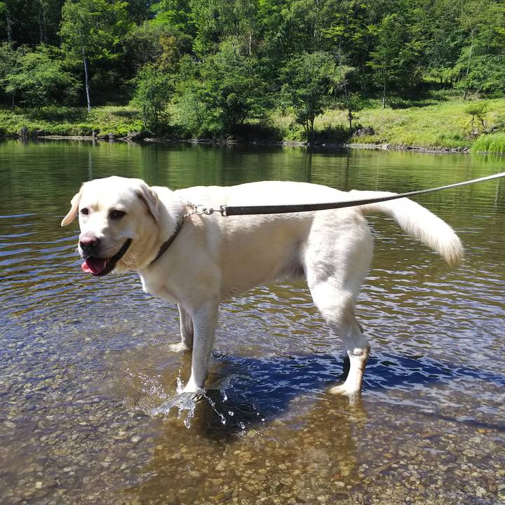 A6e8ce2a 47c2 48db 9761 29f3ff0ba340 1534575141410