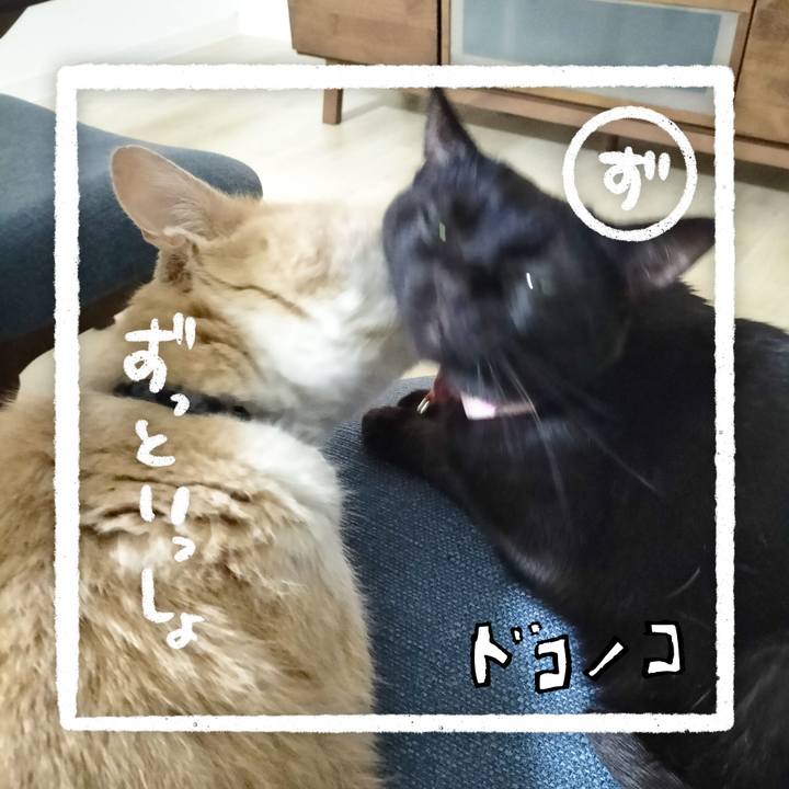 A6e8ce9b 7cc2 48c4 8620 2f929d4546ad 1685935976980