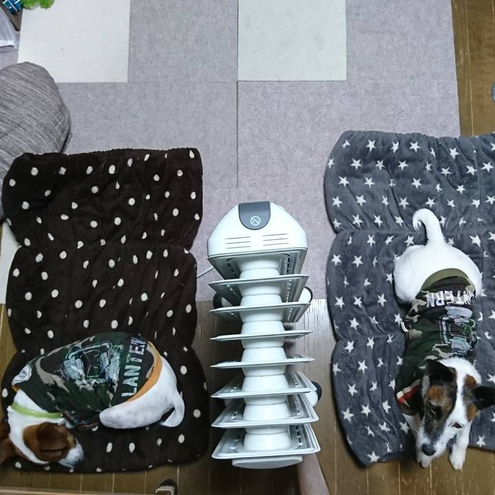 A6e8fdd7 4901 4c50 b89d 13bb8364406e 1611361150705