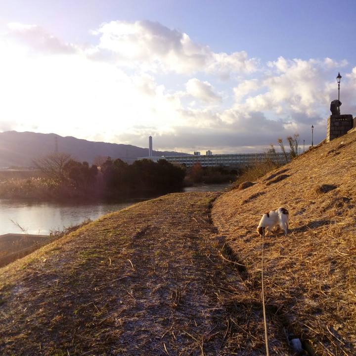 A6e926f0 e1a7 4a13 96f5 6fd583c1ce59 1515717496981