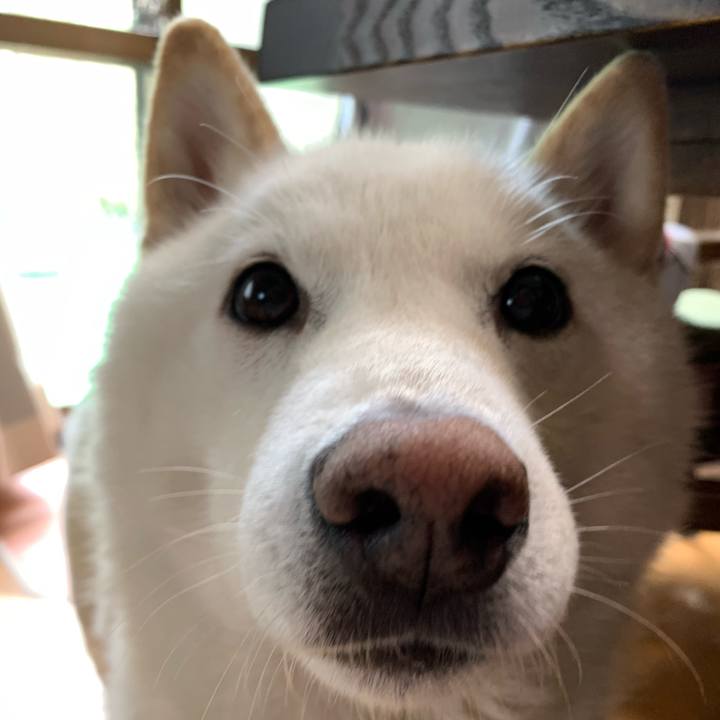 A6e951fb bc5f 4b03 b5d2 37aeba205ad3 1619910938598