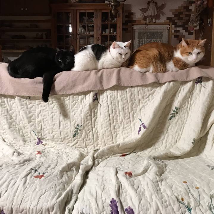 A6e9a9bb 3711 42ee 8b74 ddfd1e8bae86 1624281634714