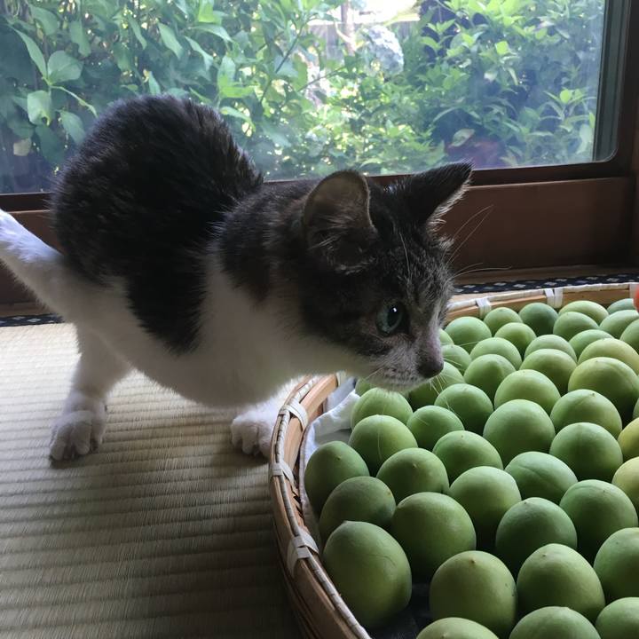 A6e9b340 77fe 4765 9d37 f55530eea7fe 1748729506863