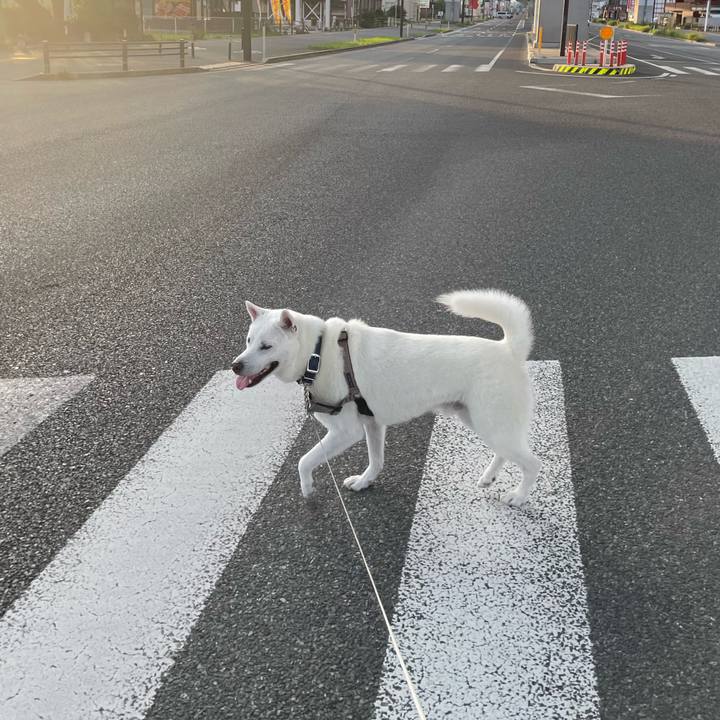 A6ea51d4 fa5d 4f86 9985 95b343fa8bbf 1721705735879