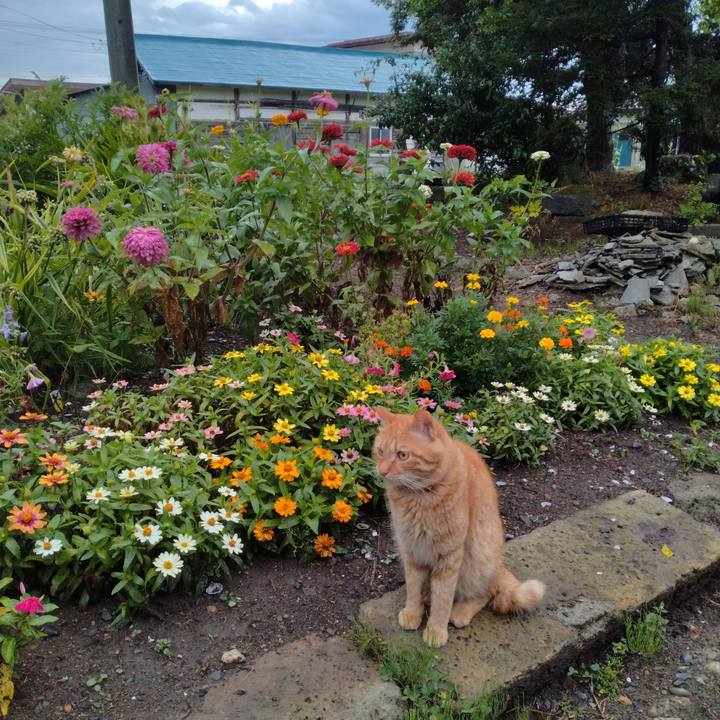 A6ead0e2 201a 4bd1 b3bc cbb12a6cf618 1690844866493