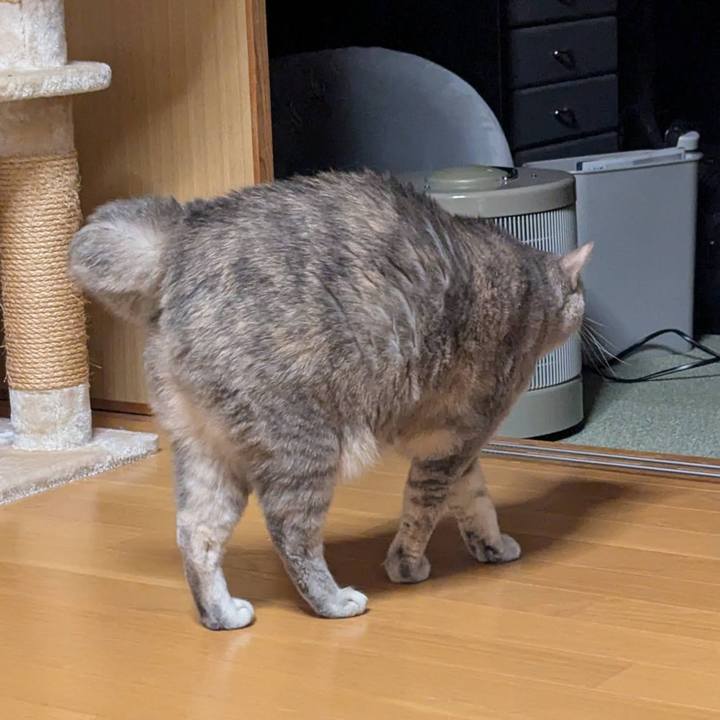 A6eb34e7 c6a7 4906 bc54 b8ee626042b1 1741691137062