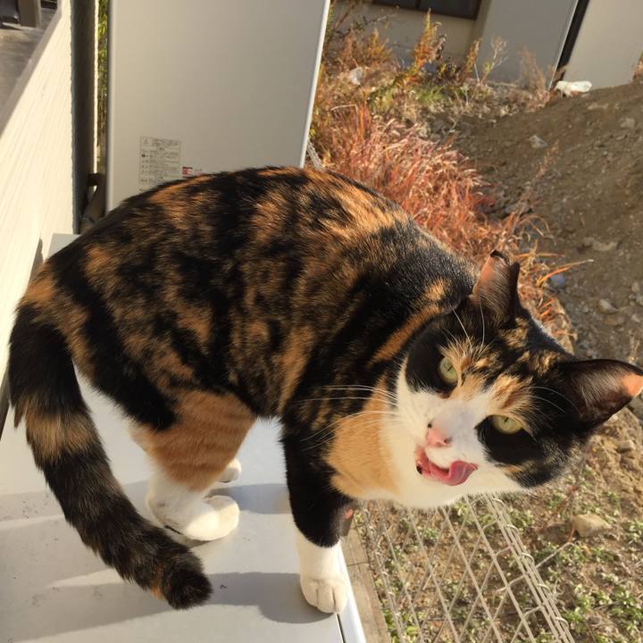 A6eb83e4 1959 47b2 9fac de99db032796 1514006490991