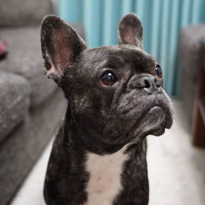 A6eba3b9 9118 426f a358 a6a8c2aae833 1583732695207