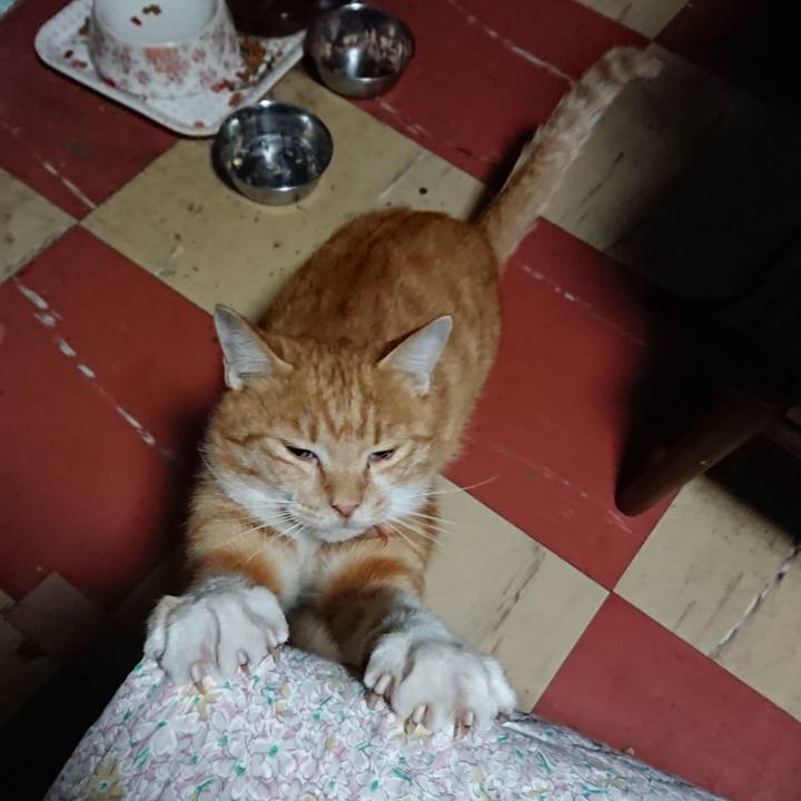 A6ebaf87 f86f 4a88 97f9 11aba27817c1 1570564054159