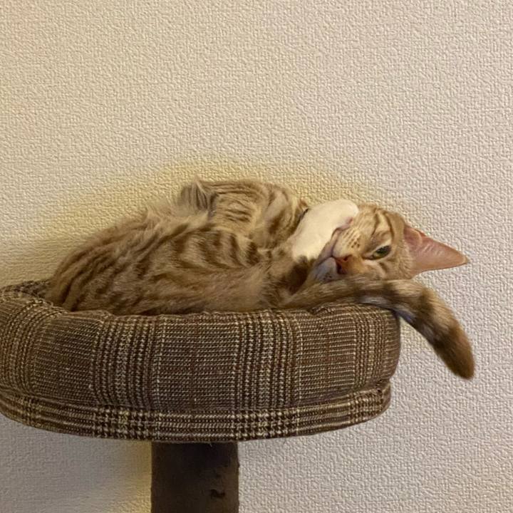 A6ec10f1 17b2 4c91 a713 ca2180150b28 1614329381576