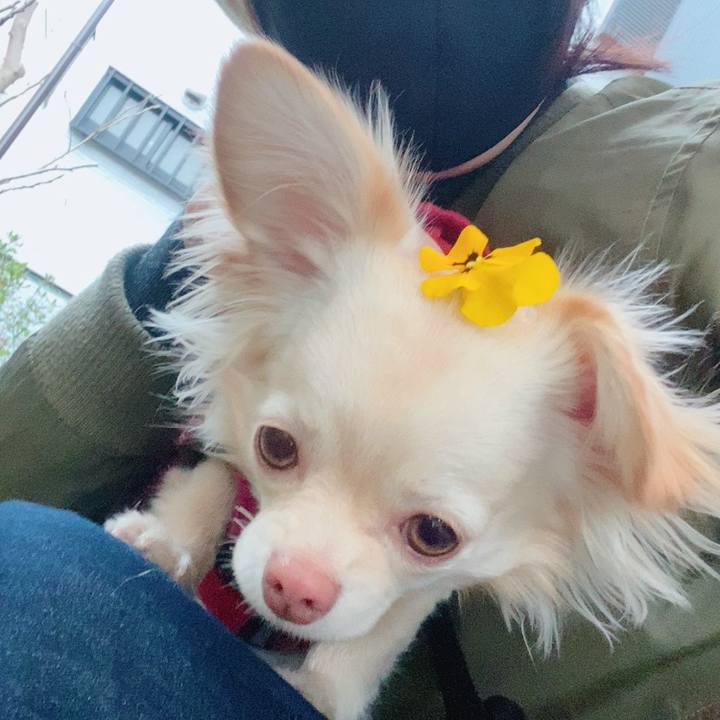 A6ec215b 62b7 4bd7 bc16 269fdce4a5bf 1614335832393