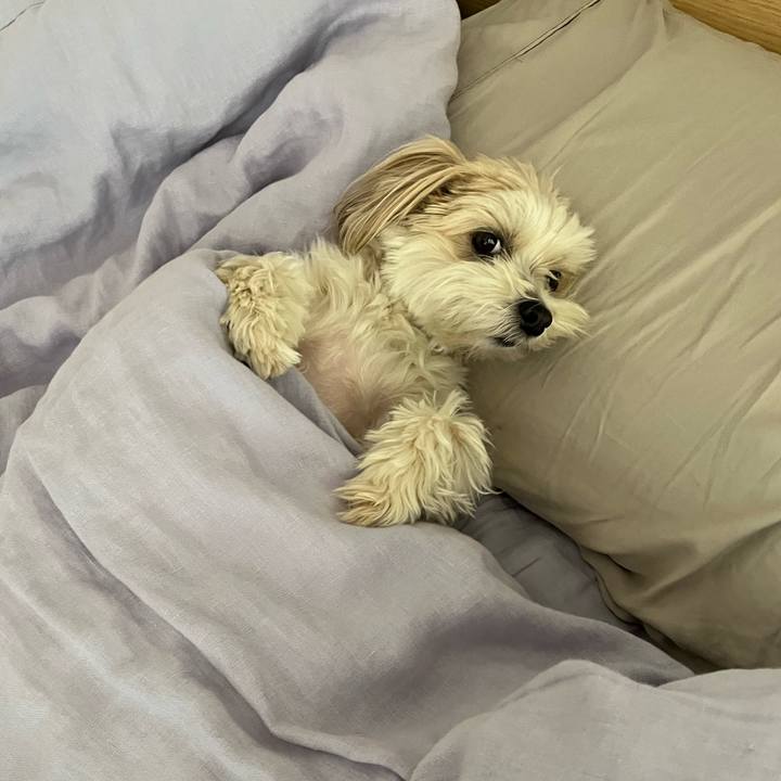 A6ec4863 b372 44b4 a643 3f8ae135c4c8 1773788498420