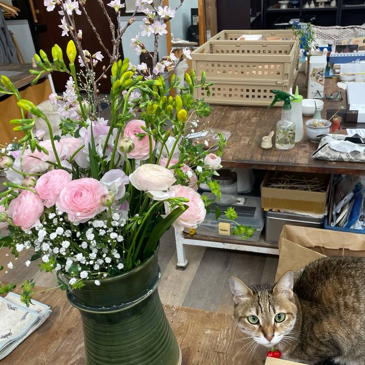 A6ec57f0 b97d 47e0 8364 d9f8222039f1 1743772805384