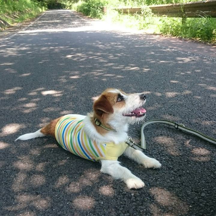 A6ec7939 9514 4248 adff d6cc64943b73 1559999786133