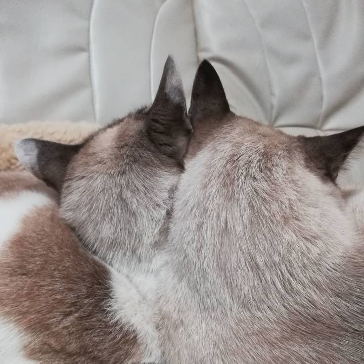 A6ecb535 6ace 4c7e b122 988ea938137e 1546079909201