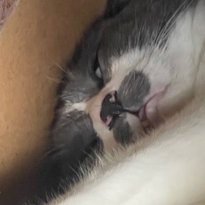 A6ecb857 621d 4967 a4cc d249bf6b1589 1755057507522