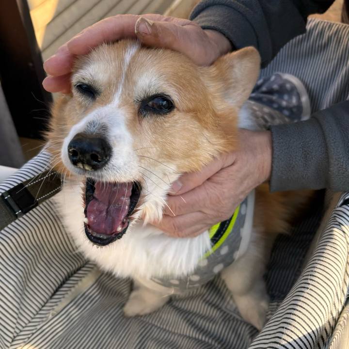 A6ece2e2 8769 4207 b79f cb17b7edca57 1766806812334