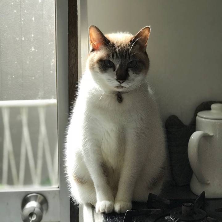 A6ed1996 9b4a 4966 91af 99574a65c196 1510710423130