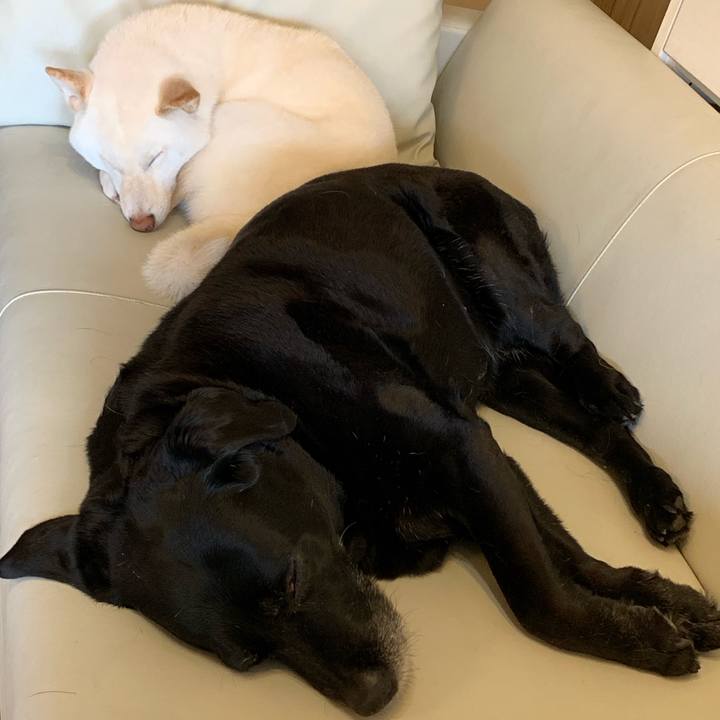 A6ed2f3a 3fe4 48e0 8894 d20bd8d1c0af 1554005851148