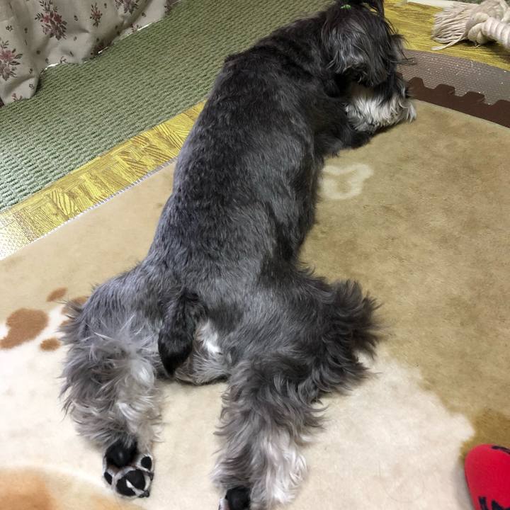 A6ed3444 f230 4bf9 9954 00d345c0795a 1513509605879