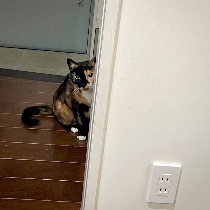 A6ed63aa e1a3 48bd 92f8 b608fa88a23b 1684420765507