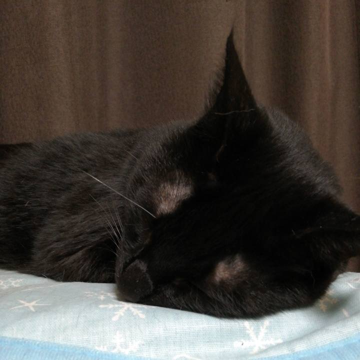 A6ed7348 d7f8 455b a9e7 51a6cd3945ac 1624356508971