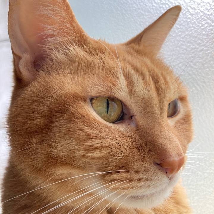 A6ed9104 6abf 46b7 ae36 32def2123c34 1766817067759