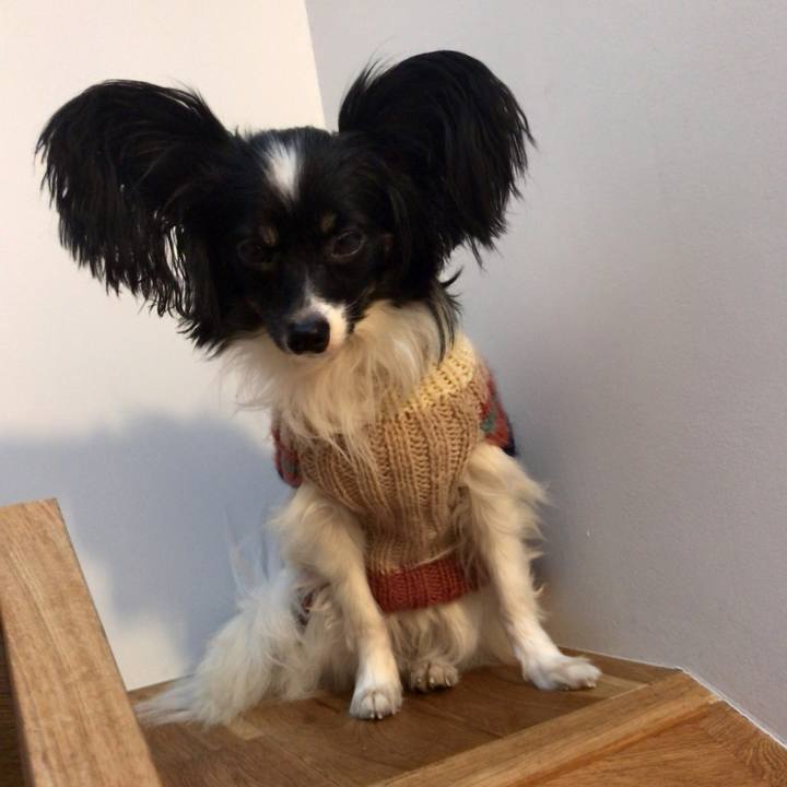 A6eda09f 23e6 47fb bb1c 90647f6fc2fe 1512468412292