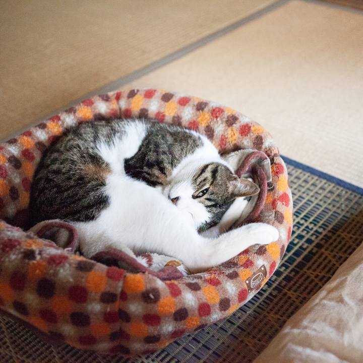 A6edabb1 c693 4da6 bd36 7a78ebf09fdb 1559269296989