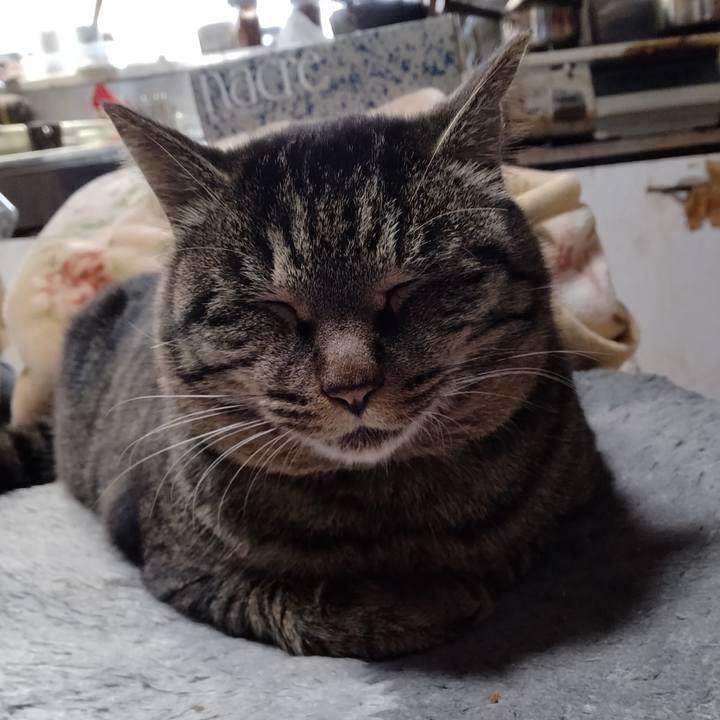 A6edb2cb 5552 4fc4 b458 dc54947d21e0 1671605242213